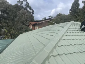 Photo of a roof done with the colour: Colorbond Pale Eucalypt