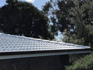 Photo of a roof done with the colour: White