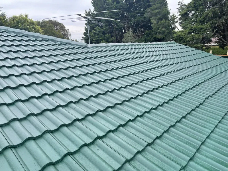 Perth roof with Mid Brunswick Green Dulux Acratex coating - view 1