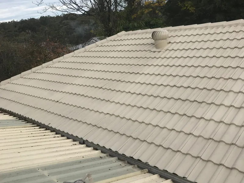 Perth roof with Colorbond Paperbark Dulux Acratex coating - view 1