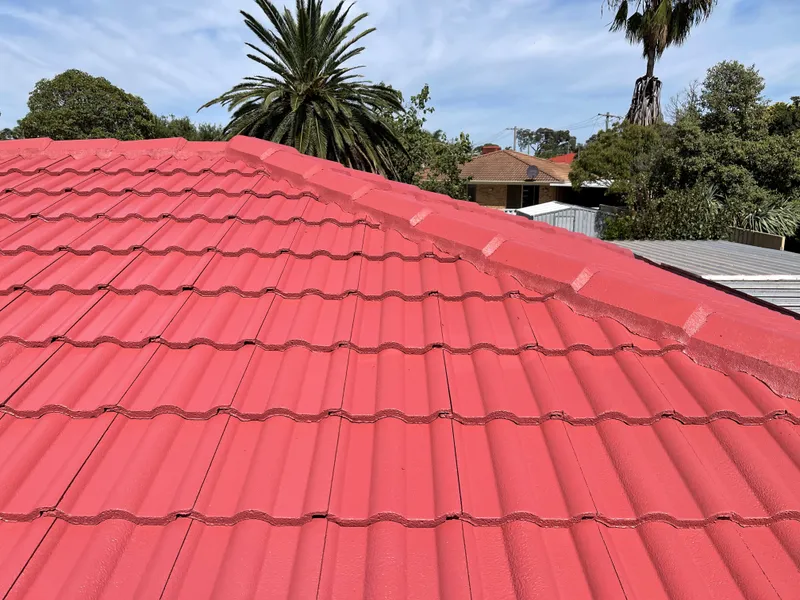 Perth roof with Homestead Dulux Acratex coating - view 1