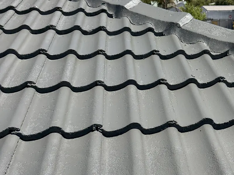Perth roof with Slate Grey Dulux Acratex coating - view 2