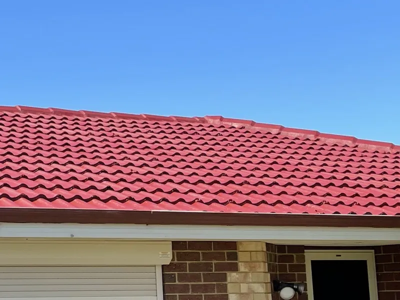 Perth roof with Ferric Red Dulux Acratex coating - view 2