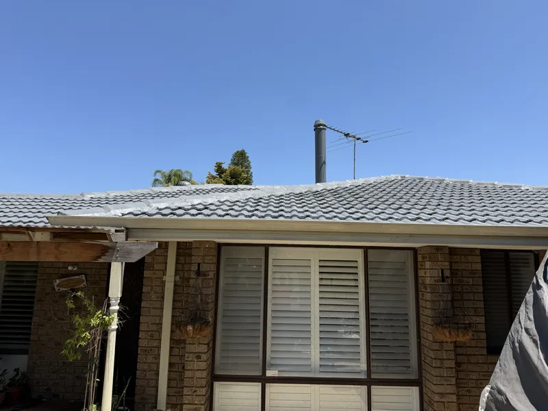 Perth roof with Colorbond Basalt Dulux Acratex coating - view 2