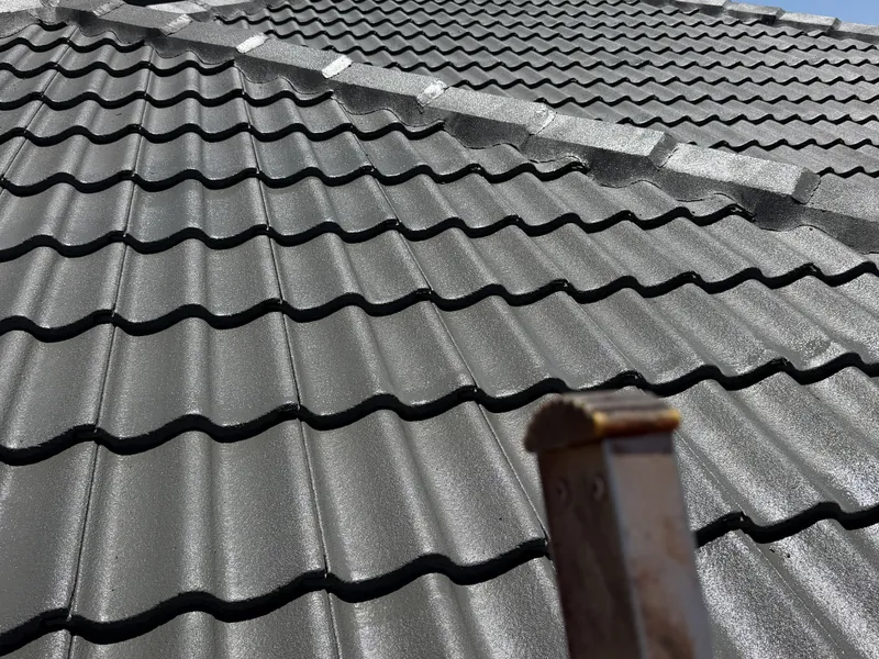 Perth roof with Colorbond Woodland Grey Dulux Acratex coating - view 3