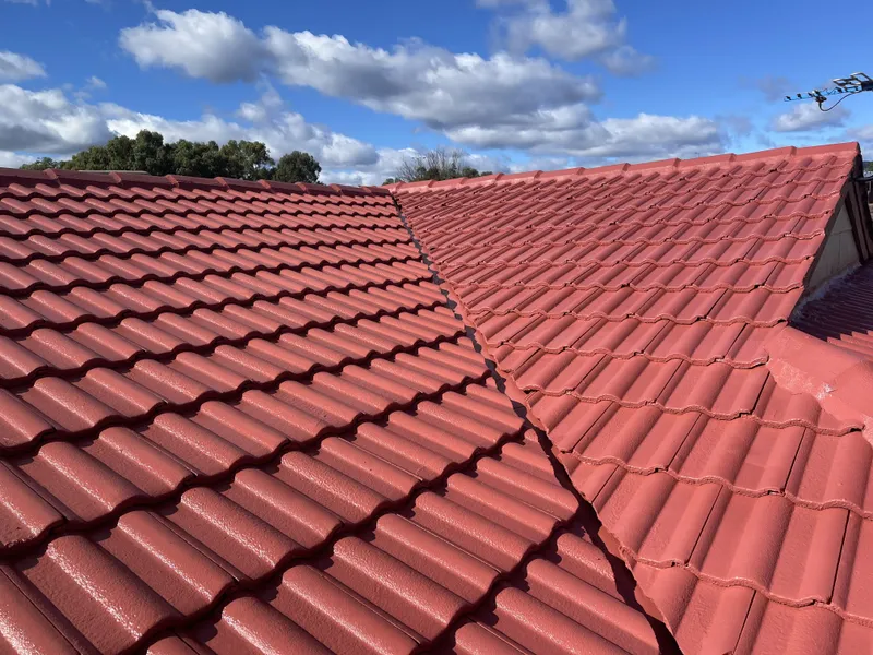 Perth roof with Homestead Dulux Acratex coating - view 3