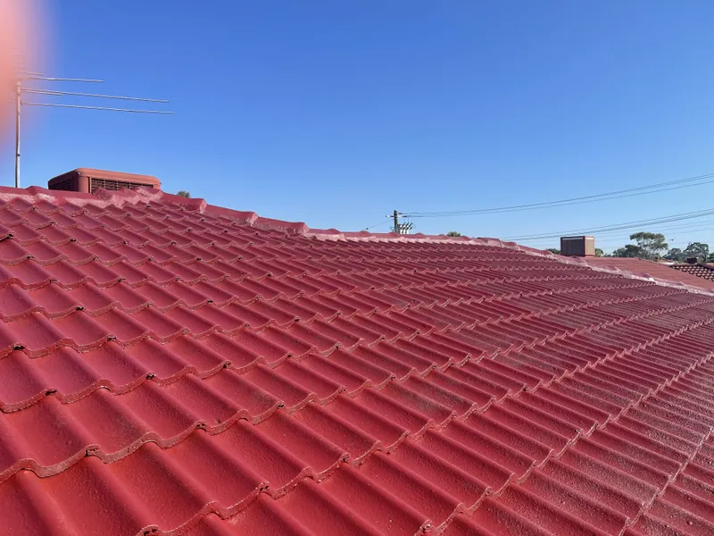 Perth roof with Ferric Red Dulux Acratex coating - view 4