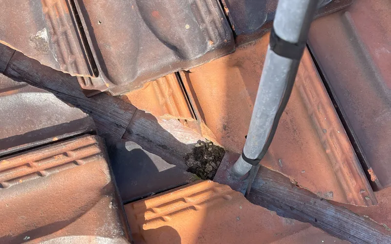 Leak Detection & Repair - Professional roofing service in Perth
