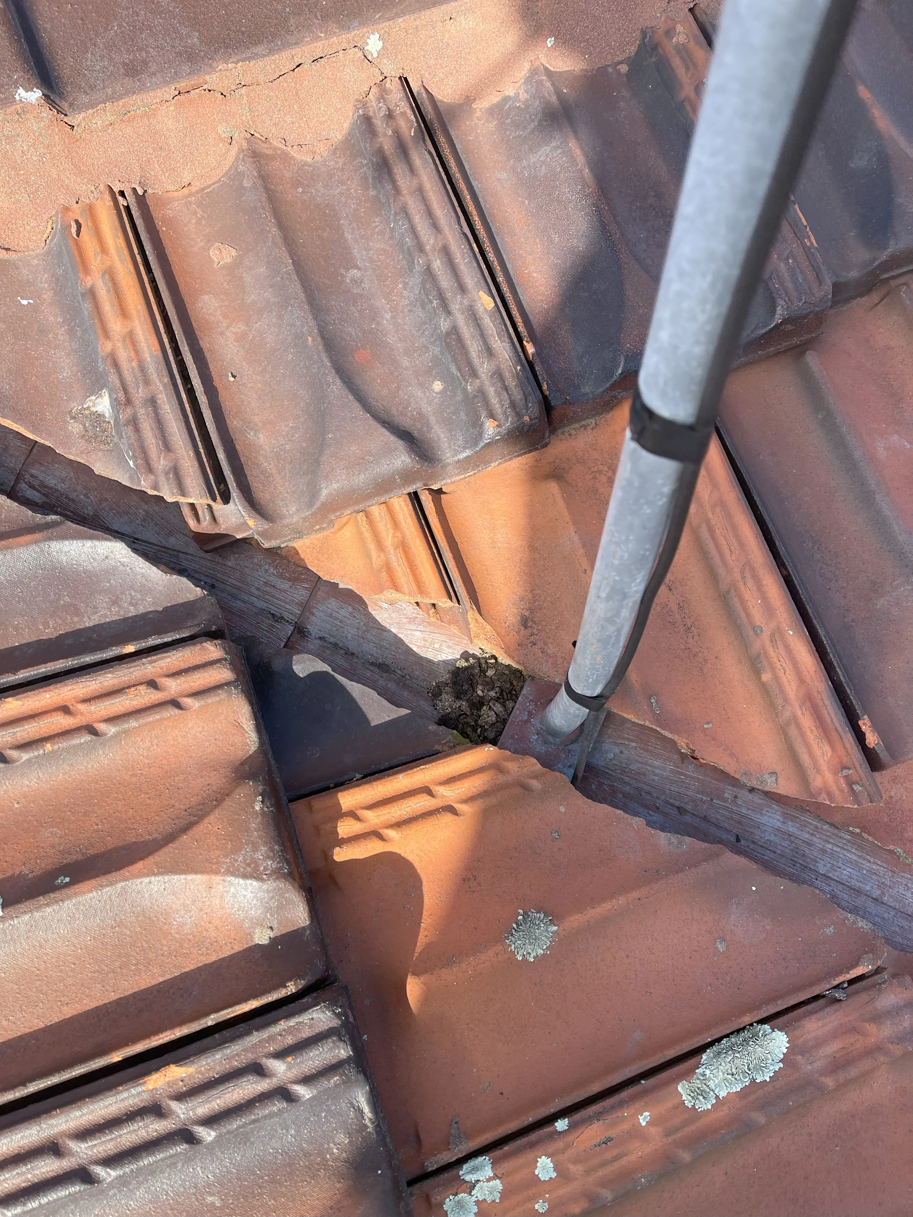 Leak Detection & Repair