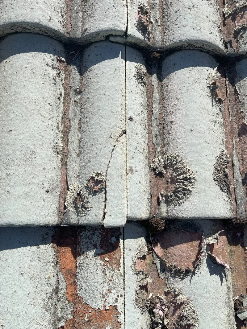 A photo of an old roof being inspected by Roof Restorers Perth