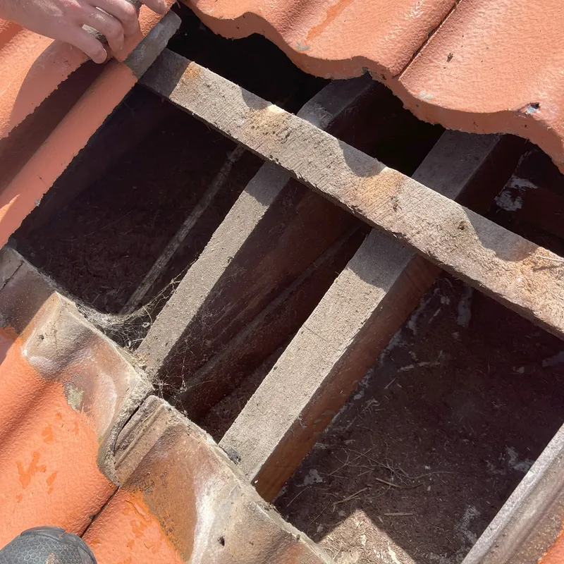 Close-up of roof structural timber showing potential sagging concerns
