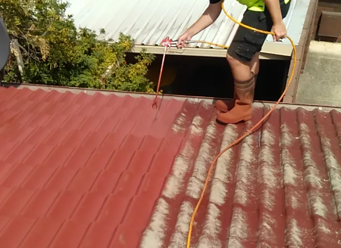 Roof Painting - Professional roofing service in Perth