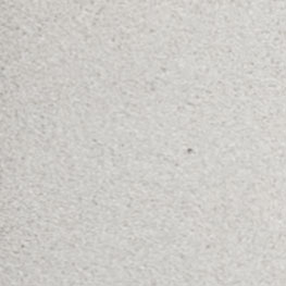 Abalone Starpoint flexible pointing colour